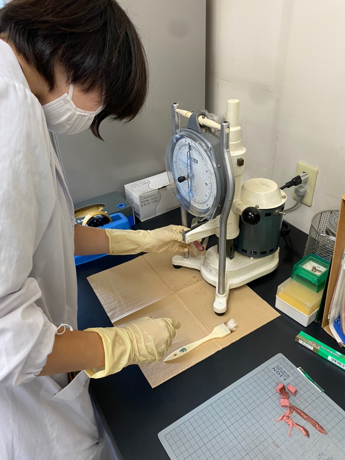 9_るくるラボ9月_シカ肉の剪断力価測定