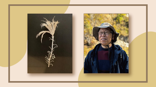 科学茶房ウミユリ