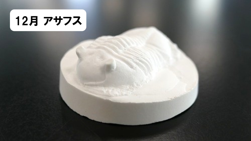 03_わくわく12月アサフス(名前表記あり)