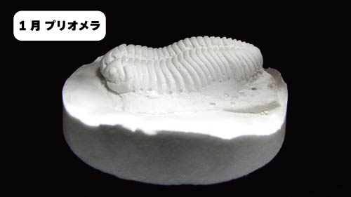 わくわく1月プリオメラ(名前入り)