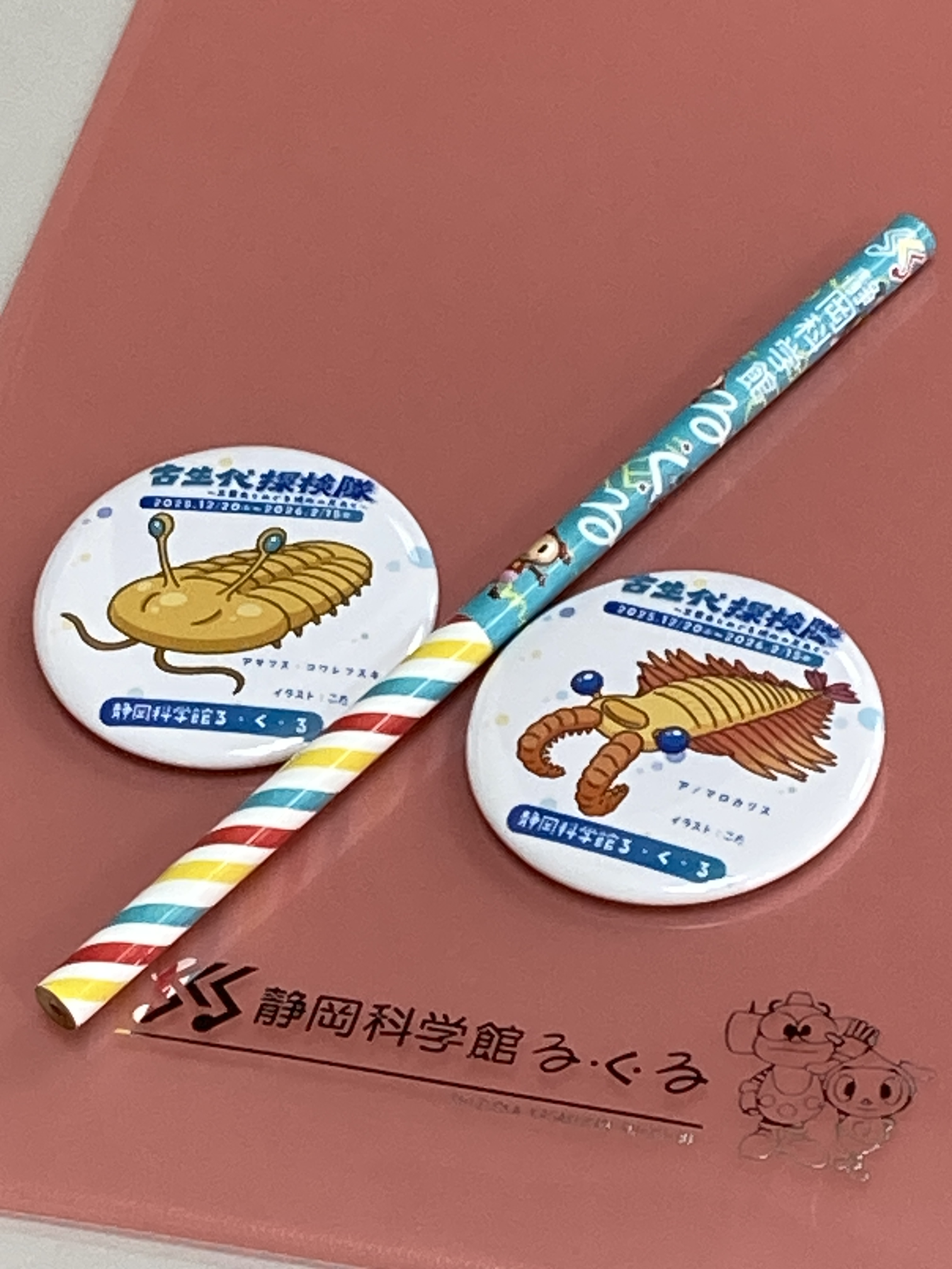 ノベルティIMG_0785