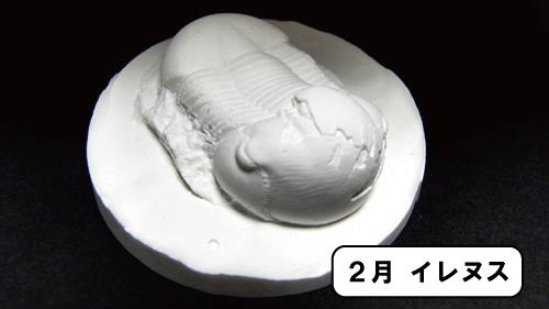 わくわく2月イレヌス(名前付き)