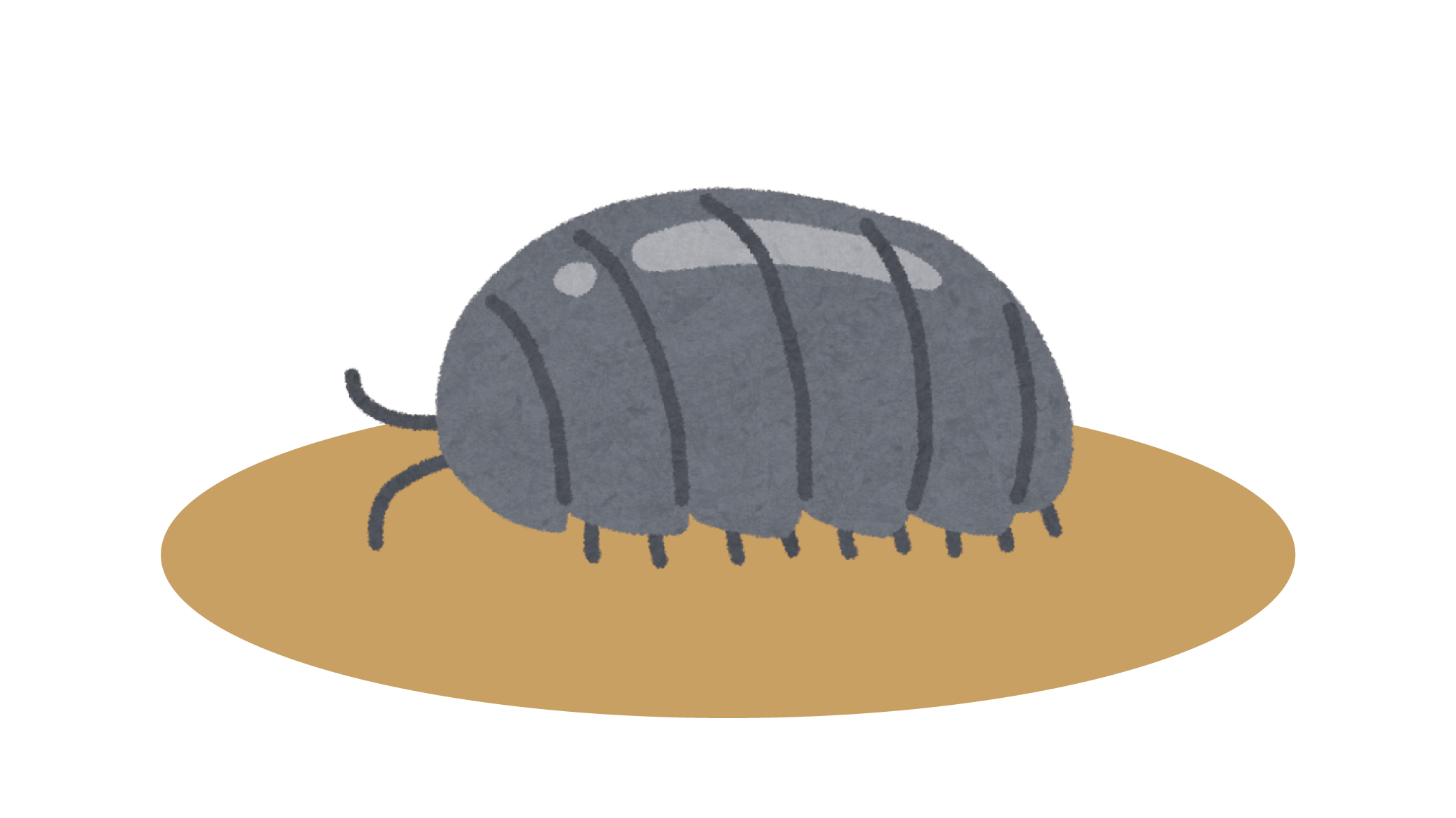 だんごむし